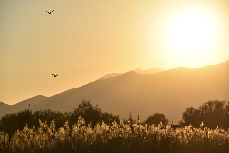 De biodiversiteitscrisis en het veranderende klimaat