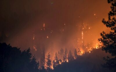De klimaatupdate – hitte en bosbranden